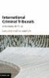 International Criminal Tribunals: A Normative Defense