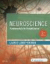 Neuroscience:Fundamentals for Rehabilitation