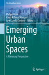 Emerging Urban Spaces:A Planetary Perspective