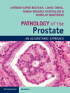 Pathology of the Prostate:An Algorithmic Approach
