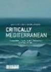 Critically Mediterranean:Temporalities, Aesthetics, and Deployments of a Sea in Crisis