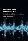 Collapse of the Wave Function:Models, Ontology, Origin, and Implications