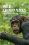 Wild Chimpanzees:Social Behavior of an Endangered Species