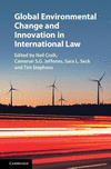Global Environmental Change and Innovation in International
