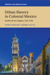 Urban Slavery in Colonial Mexico:Puebla de los ngeles, 1531-1706
