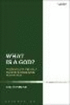 What Is a God?:Philosophical Perspectives on Divine Essence in the Hebrew Bible