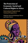 The Protection of Economic, Social and Cultural Rights in Africa:International, Regional and National Perspectives