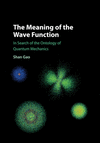 The Meaning of the Wave Function:In Search of the Ontology of Quantum Mechanics