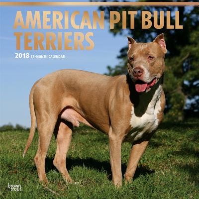 2018 American Pit Bull Terriers Wall Calendar 20 p. 17