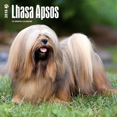 2018 Lhasa Apsos Wall Calendar 20 p. 17