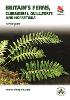 Britain's Ferns, Clubmosses, Quillworts, and Horsetails:A Field Guide P 240 p. 20