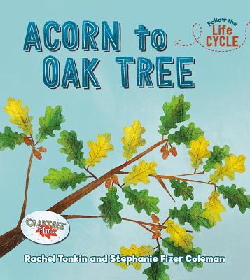 Acorn to Oak Tree(Follow the Life Cycle) P 24 p. 19