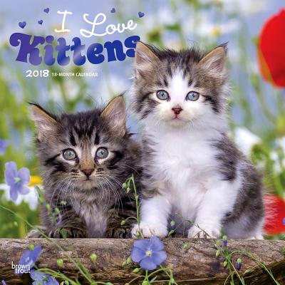 2018 Kittens, I Love Wall Calendar 20 p. 17