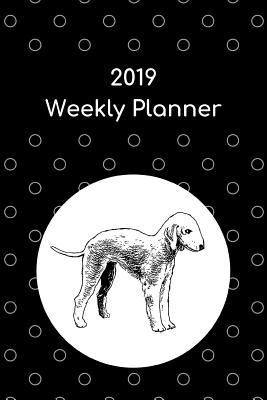 2019 Weekly Planner: Bedlington Terrier P 54 p.