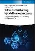1D Semiconducting Hybrid Nanostructures:Synthesis and Applications in Gas Sensing and Optoelectronics '23