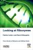 Looking at Ribozymes:From Atomic to Molecular and Cellular Scales '24