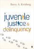 Juvenile Justice and Delinquency P 232 p. 17