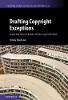 Drafting Copyright Exceptions:An Empirical Analysis (Cambridge Intellectual Property and Information Law, Vol. 51) '19