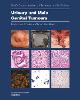 Urinary and Male Genital Tumours 5th ed.(WHO Classification of Tumours Vol. 8) paper 576 p. 22