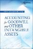 Accounting for Goodwill and Other Intangible Assets(Wiley Corporate F&A) H 288 p. 18