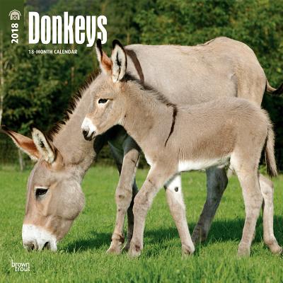 2018 Donkeys Wall Calendar 20 p. 17