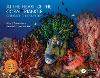 At the Heart of the Coral Triangle:Celebrating Biodiversity '20