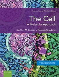 The Cell 9th ed./IE. paper 816 p. 23