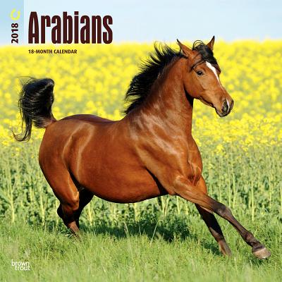 2018 Arabians Wall Calendar 20 p. 17