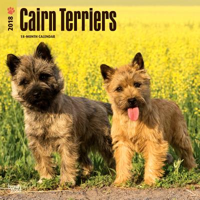 2018 Cairn Terriers Wall Calendar 20 p. 17