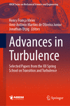 Advances in Turbulence (Lecture Notes in Mechanical Engineering)