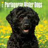 2018 Portuguese Water Dogs Wall Calendar 20 p. 17