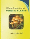 Effluent Remediation with Fungi and Plants P 210 p. 24