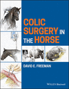 Colic Surgery in the Horse '24