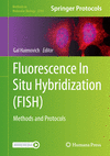 Fluorescence In Situ Hybridization (FISH):Methods and Protocols (Methods in Molecular Biology, Vol. 2784) '24