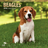 2018 Beagles Wall Calendar 20 p. 17