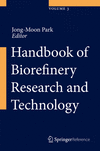 Handbook of Biorefinery Research and Technology 1st ed. 2022 L, 2950 p. 22