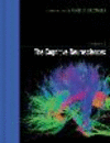 The Cognitive Neurosciences 4e 4th ed. H 1376 p. 09