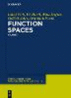 Function Spaces, 1 3rd ed.(de Gruyter Series In Nonlinear Analysis And Applications Vol. 14) hardcover 515 p. 23