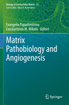 Matrix Pathobiology and Angiogenesis (Biology of Extracellular Matrix, Vol. 12) '24