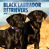 2018 Labrador Retrievers, Black Wall Calendar 20 p. 17
