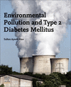 Environmental Pollution and Type 2 Diabetes Mellitus '24