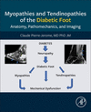 Myopathies and Tendinopathies of the Diabetic Foot:Anatomy, Pathomechanics, and Imaging '24