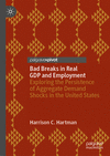 Bad Breaks in Real GDP and Employment:Exploring the Persistence of Aggregate Demand Shocks in the United States, 2024 ed. '24