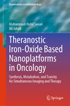 Theranostic Iron-Oxide Based Nanoplatforms in Oncology 1st ed. 2023(Nanomedicine and Nanotoxicology) H 23