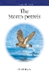 Storm-Petrels '24