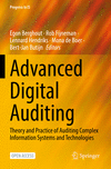 Advanced Digital Auditing:Theory and Practice of Auditing Complex Information Systems and Technologies (Progress in IS) '23