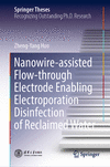 Nanowire-assisted Flow-through Electrode Enabling Electroporation Disinfection of Reclaimed Water 1st ed. 2023(Springer Theses)