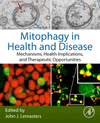 Mitophagy in Health and Disease:Mechanisms, Health Implications, and Therapeutic Opportunities '24