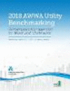 2018 AWWA Utility Benchmarking:Performance Management for Water and Wastewater '19