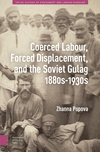 Coerced Labour, Forced Displacement, and the Soviet Gulag, 1880s–1930s(Social History of Punishment and Labour Coercion) H 252 p